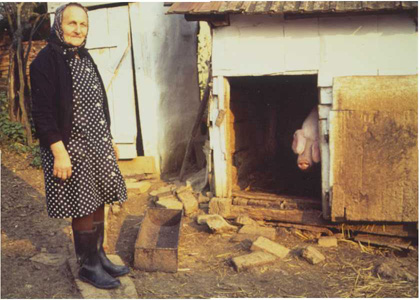 Mrs Demeter shows guests the pig she was fattening for her winter meat supply. She also raised chickens, and had a sm. garden. Mrs Demeter and many of the village women work at a nearby dairy, milking the cows. Courtesy D. Gonthier, taken 1989, Faj, Hungary.